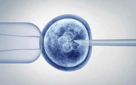 Stem Cells Treatment in Dubai: Revolutionizing Healing and Rejuvenation