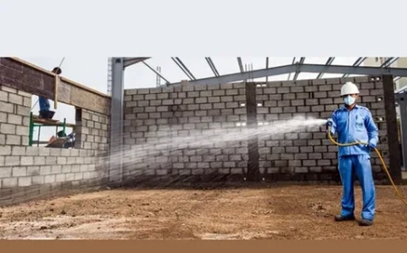 Trusted Termite Control Services in Lahore