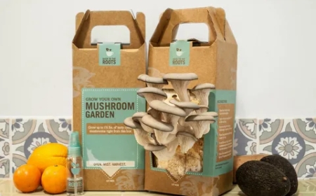 Why Should You Use Custom Mushroom Boxes for Fresh Produce Brands?