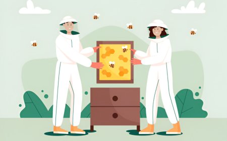 Revolutionizing Apiculture: Beehive Monitoring Systems, Smart Sensor Technology, and Natural Ant Defense