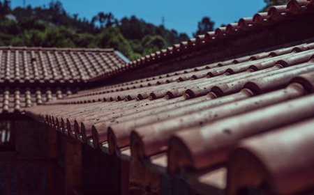 Everything You Need to Know About Roofing Services