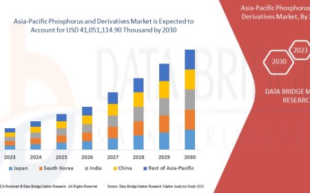 Asia-Pacific Phosphorus and Derivatives Market: Trends, Analysis, and Competitive Landscape