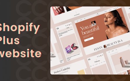 Why I Built My Shopify Plus Website with Webcraftio