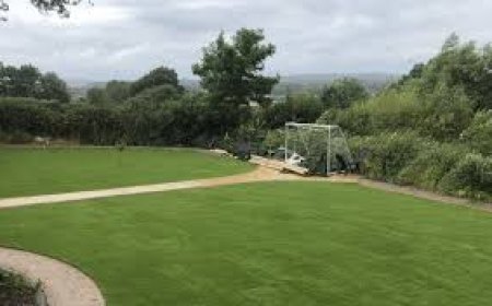 Transform Your Outdoor Space with Artificial Grass Installation in Swindon