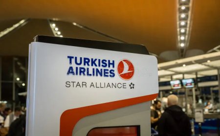 Turkish airlines online check in