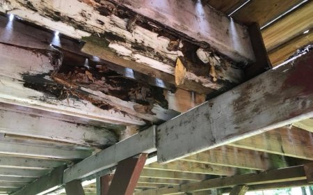 Checklist for a Baltimore Alhumd Home Inspection Service