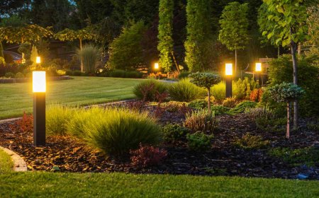 Landscape Lighting Magic: Illuminating Outdoor Spaces with Beauty, Safety, and Purpose
