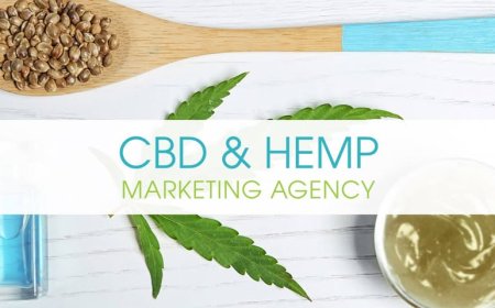 Why Every Cannabis Brand Needs a Reliable Hemp Marketing Agency