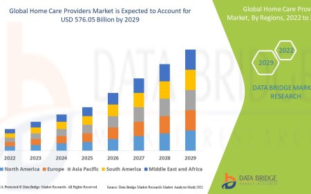 Home Care Providers Market Competitive Forecast and Growth Analysis 2029