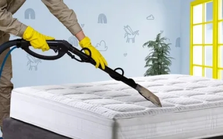 Fast & Affordable Mattress Removal Services in Kent, WA