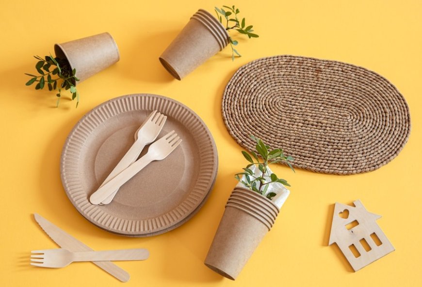 Want to Start a Rice Husk Based Biodegradable Disposable Cups and Plates Unit? Here’s What You Need to Know!
