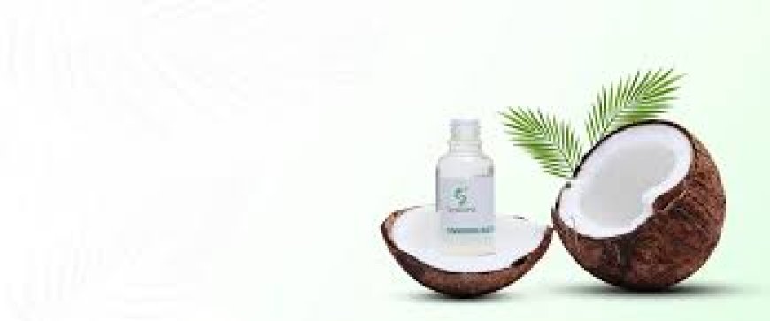 Top Essential Oil Suppliers in India for Pure Aromatics