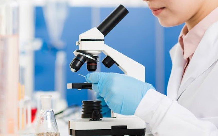 Pathology Lab – The Backbone of Modern Diagnostics and Patient Care