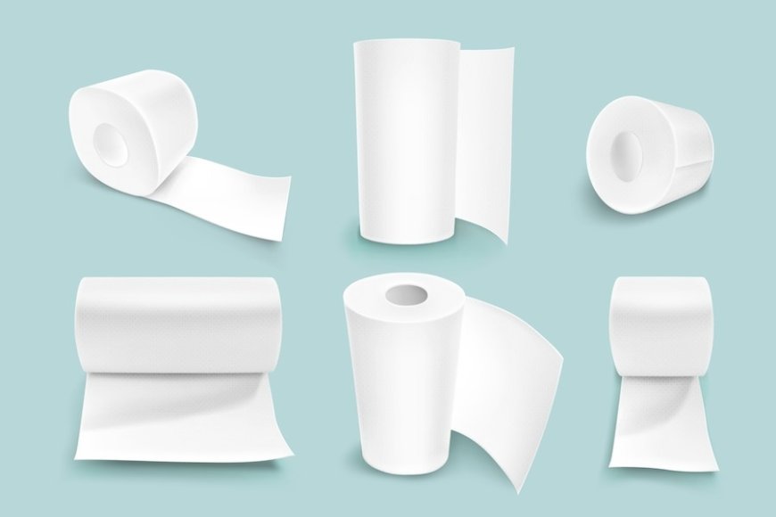Prefeasibility Report on a Tissue Paper Manufacturing Plant Project Setup Cost and Expanses