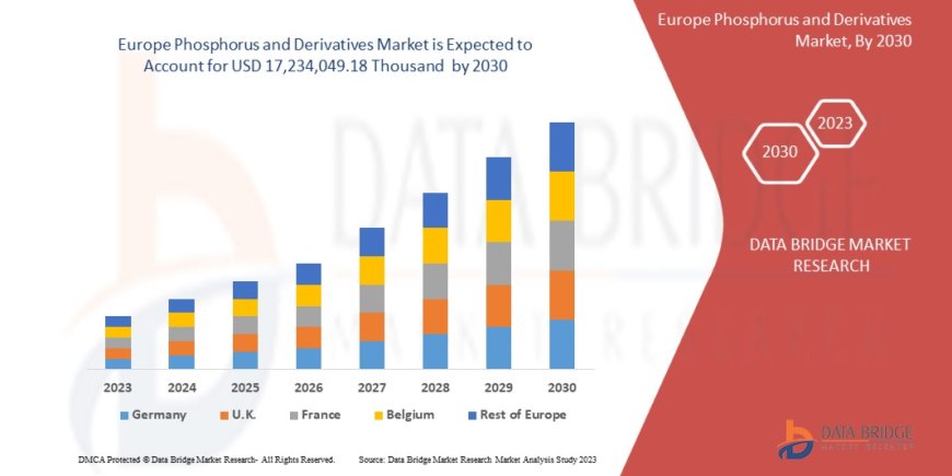 Europe Phosphorus and Derivatives  Market: Insights and Competitive Analysis