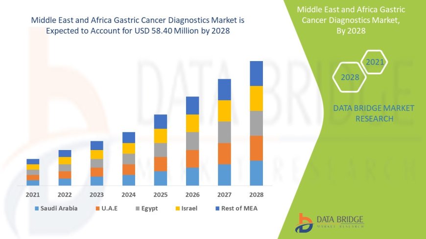 Middle East and Africa Gastric Cancer Diagnostics Market: Trends and Growth Opportunities