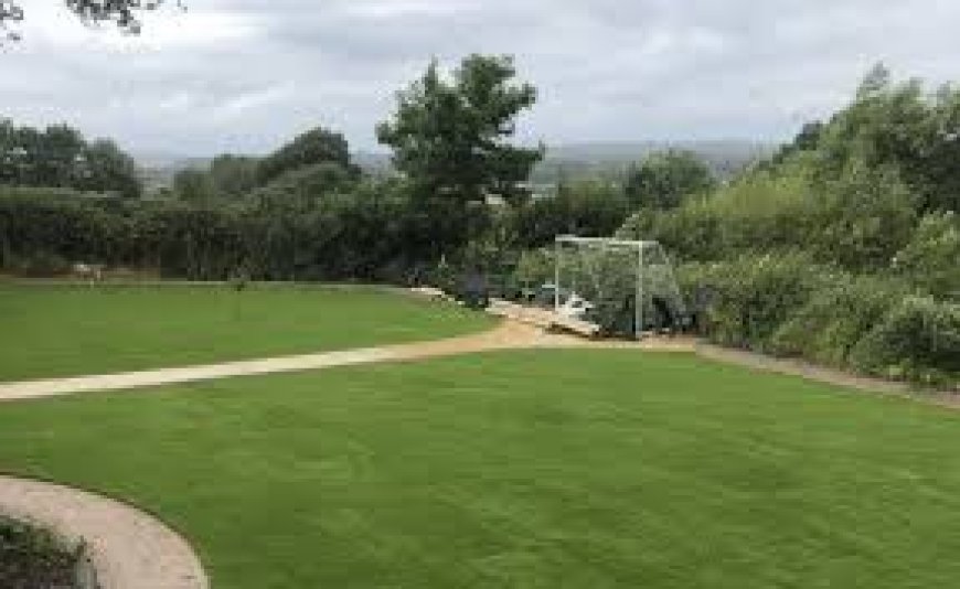 Transform Your Outdoor Space with Artificial Grass Installation in Swindon