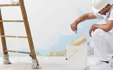 Trusted Painters in San Jose – Book a Local Expert Today