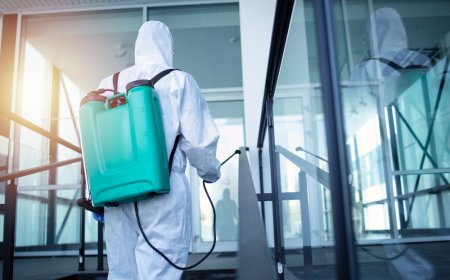 Heat Kills: The Smart, Silent Way to End Bed Bug Problems in Bloomfield