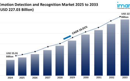 Emotion Detection and Recognition Market Size, Growth, and Forecast 2025-2033