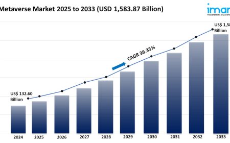 Metaverse Market Size, Trends & Growth Analysis 2025-2033
