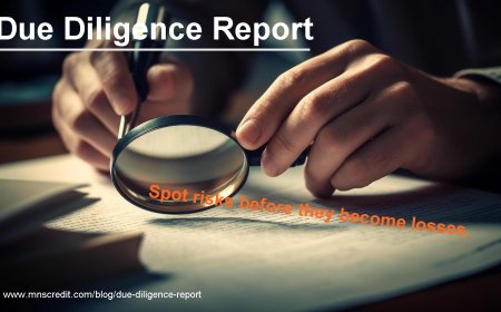 Due Diligence Report: Catching Red Flags Before They Cost You