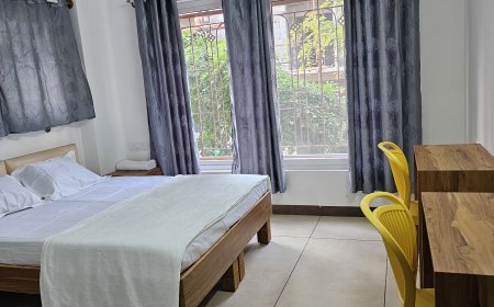 PG in HSR Layout - PlexLive