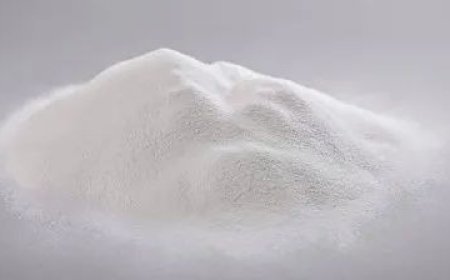 Lactose Monohydrate Manufacturing Plant Machinery Cost 2025: Investment Opportunities and Industry Trends