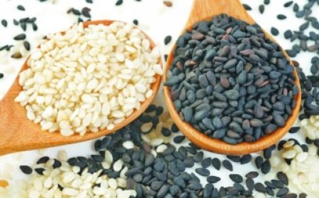 Top Sesame Seeds Brands, Suppliers & Manufacturers – India