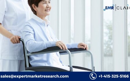 Power Assist Wheelchair Market: Market Growth and Demand Forecast (2034)
