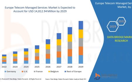 Europe Telecom Managed Services Market Size, Status and Outlook 2029