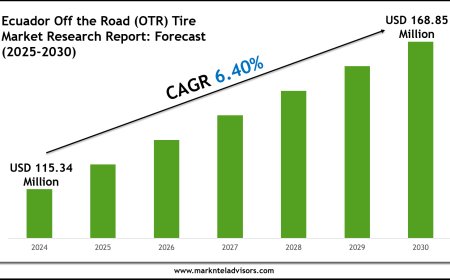 Ecuador Off the Road (OTR) Tire Industry Analysis 2025–2030: Market Insights & Forecast