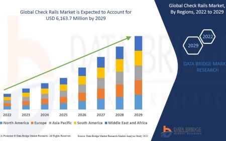 Check Rails Market Size, Status and Outlook 2029