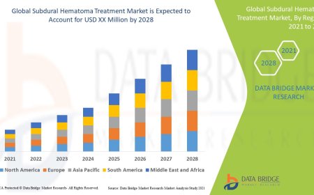 Subdural Hematoma Treatment Market Size, Status and Outlook 2028
