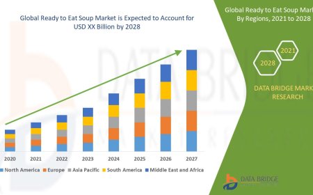 Ready to Eat Soup Market Size, Status and Outlook 2028