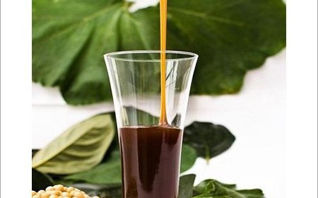 Soya Lecithin Manufacturing Plant Machinery Cost 2025: Unit Setup, Cost and Requirements, Project Economics