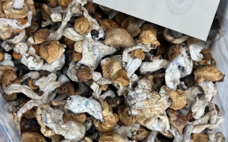 HOW DO WE USE MAGIC MUSHROOM FOR DEPRESION