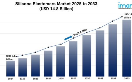 Silicone Elastomers Market Growth, and Demand Forecast 2025-2033