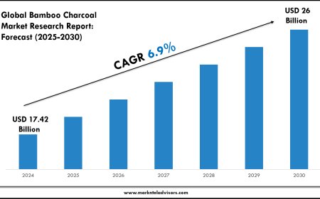 Bamboo Charcoal Industry Analysis 2025–2030: Market Insights & Forecast