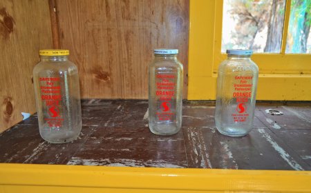 Design Ideas for Attractive CBD Hemp Oil Boxes