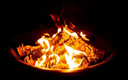 Vad kubik en kostar ved?  Komplett guide to Stockholm's Prise, Viktor, and Leverans