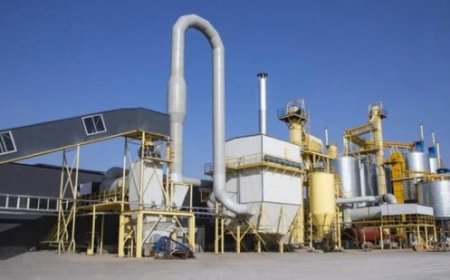 Gypsum Plasterboard Manufacturing Plant Report: Investment Opportunities and Industry Trends