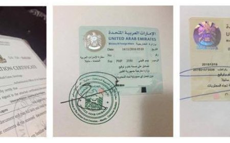 Step-by-Step Process of Apostille and MOFA Attestation in Pakistan