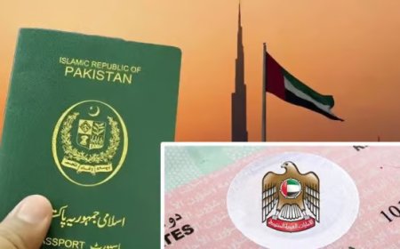 Step-by-Step Apostille and MOFA Attestation for International Use