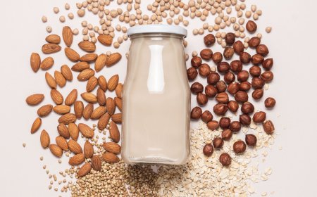 Europe Protein Based Sports Drinks Market to Reach US$ 760.48 Million by 2033, Fuelled by Health Trends and Innovation