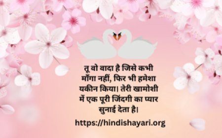 Why HindiShayari Is More Than Poetry - It Is An Experience