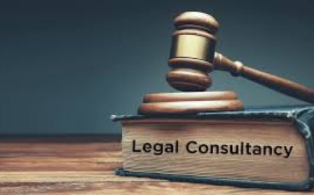 Our team includes highly qualified corporate lawyers in Dubai