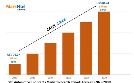 Forecasting the GCC Automotive Lubricants Market: Key Metrics & Industry Overview