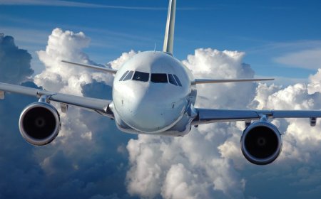 Calling Breeze vs Norse Support from International Locations