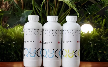 Resin vs. Epoxy vs. UV Resin: Which One Is Right for You?